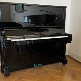 C. Bechstein 140 von 1902 in Black glossy