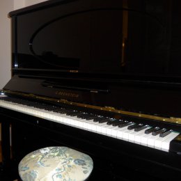 C. Bechstein 140 von 1902 in Black glossy