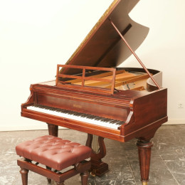 Pleyel 193 von 1895 in Rosewood matt