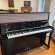 Gebr. Schulz G20 Create Your Piano von 2024 in Black glossy