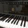 Steinway & Sons D 274 von 1985 in Black glossy