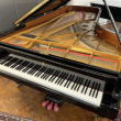 Steinway & Sons D 274 von 1985 in Black glossy