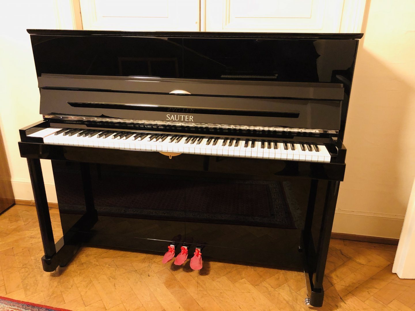 Sauter 122 Vista von 2001 in Black glossy