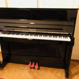 Sauter 122 Vista von 2001 in Black glossy