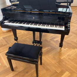 Steinway & Sons M 170 von 2020 in Black glossy