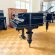 C. Bechstein 200cm von 1881 in Black glossy