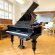C. Bechstein 200cm von 1881 in Black glossy
