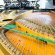 C. Bechstein 200cm von 1881 in Black glossy