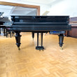 C. Bechstein 200cm von 1881 in Black glossy