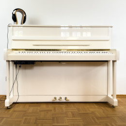 W.Hoffmann V 112 von 2010 in White glossy