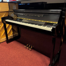 Schimmel 116 S von 2001 in Black glossy
