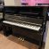 Grotrian-Steinweg Wilhelm Grotrian 23 von 2019 in Black glossy