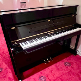 W.Hoffmann Vision 112 von 2011 in Black glossy