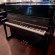Schimmel 126 von 2017 in Black glossy