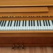 Euterpe 120 von 2003 in Cherrywood matt