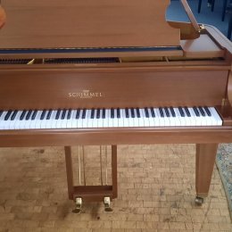 Wilhelm Schimmel 174 T von 1981 in Walnut matt