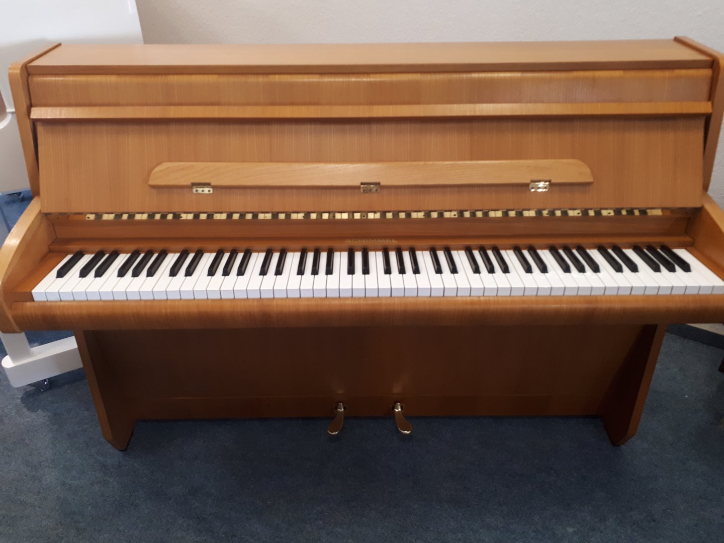 Schimmel 7 Capriccio von 1668 in Wood matt