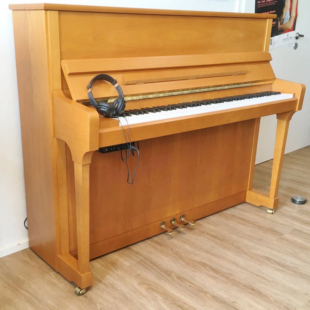 Schimmel 120T Moontime (Silent) von 2010 in Cherrywood matt