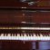 Steinway & Sons V-126 Crown Jewels von 2003 in Wood glossy