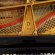 Steinway & Sons D-274 von 2007 in Black glossy