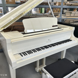 Sauter 160 Alpha von 2018 in White glossy