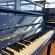 Sauter 114 Carus von 1997 in Special colour glossy