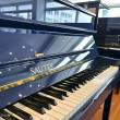 Sauter 114 Carus von 1997 in Special colour glossy