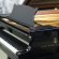Steinway & Sons D-274 von 1981 in Black glossy