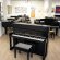 Johannes Seiler 114 Modern von 2014 in Black glossy