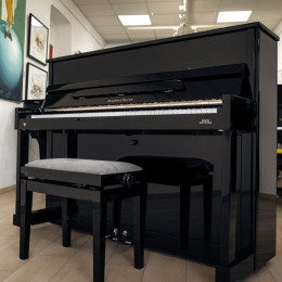 Johannes Seiler 114 Modern von 2014 in Black glossy