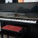 Yamaha YUS von 1982 in Black glossy