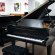 Schimmel 210 von 1988 in Black matt