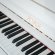 Petrof P118S1 von 2022 in White glossy