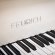 Feurich Dynamic II von 2018 in White glossy