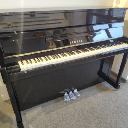 Yamaha B2 PEC von 2024 in Black glossy