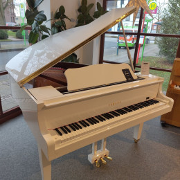 Yamaha GB1 weiß poliert - B-Ware von 2024 in White glossy