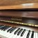 W.Hoffmann 124 von 1980 in Walnut glossy