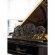 Blüthner Jubiläum von 1905 in Black glossy