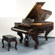 Steinway & Sons B-211 von 1873 in Rosewood glossy