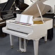 Schimmel 174cm von 1985 in White glossy