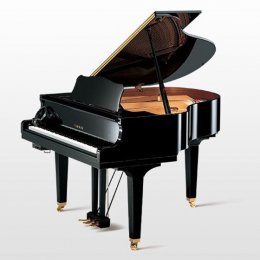 Yamaha DGB1 EN von 2021 in Black glossy
