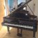 Steinway & Sons D-274 von 1973 in Black glossy