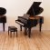 Steinway & Sons S-155 von 1963 in Black glossy