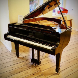 Wilh. Steinberg Performance 178 von 2021 in Black glossy