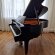 Schimmel C 189 von 2018 in Black glossy