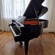 Schimmel C 189 von 2018 in Black glossy