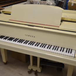 Yamaha G1 von 1970 in White glossy
