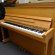 Euterpe Nova 112 EU von 2004 in Beech matt