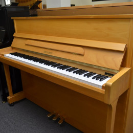 Euterpe Nova 112 EU von 2004 in Beech matt