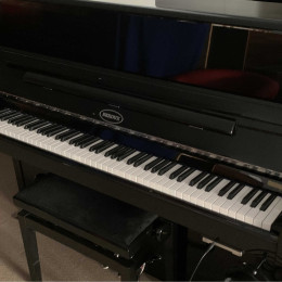 Berdux 115 Silent von 2019 in Black glossy
